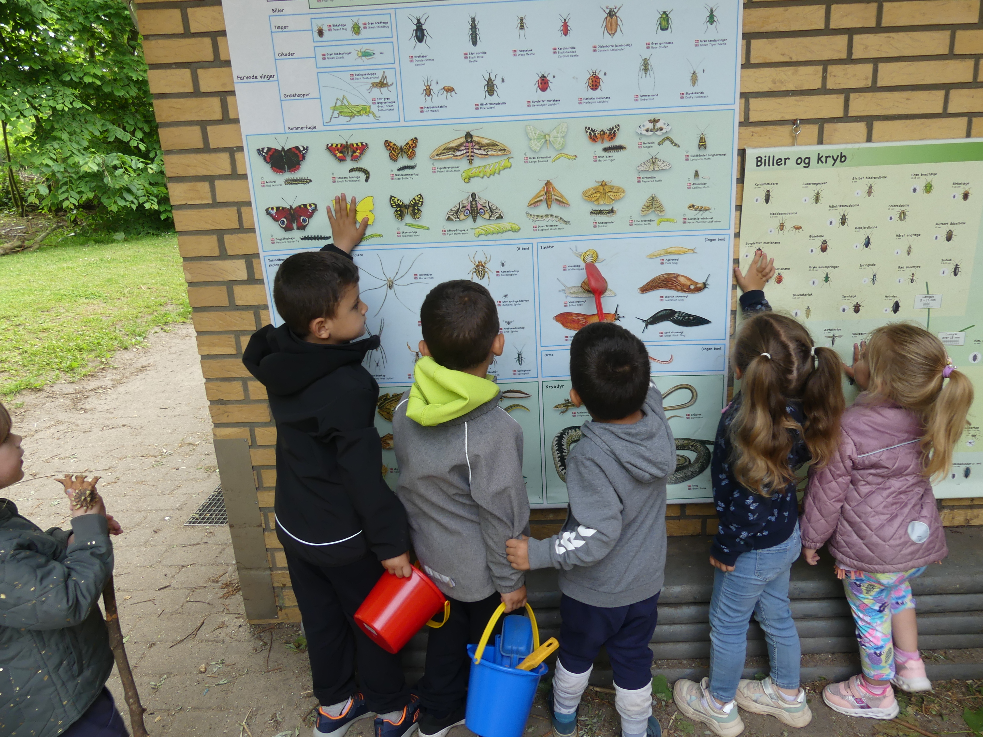 Børn kigger på insekter og kryb